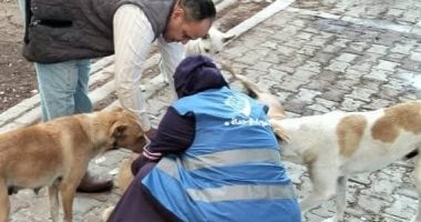 حصاد الوزارات.. وزارة الزراعة: حساب لتلقى التبرعات لتمويل استراتيجية الكلاب الضالة