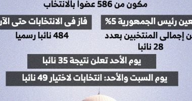 تعرف على تشكيل مجلس النواب الجديد 2025 حتى الآن.. انفوجراف