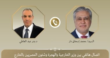 وزيرا خارجية مصر وباكستان يؤكدان أهمية التهدئة في اليمن وخفض التصعيد