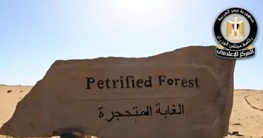 مجلس الوزراء يكشف حقيقة التعدى على الأشجار المتحجرة داخل محمية الغابة المتحجرة بمنطقة التجمع