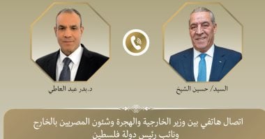 وزير الخارجية: ندعم السلطة الفلسطينية كممثل شرعى للشعب الفلسطينى