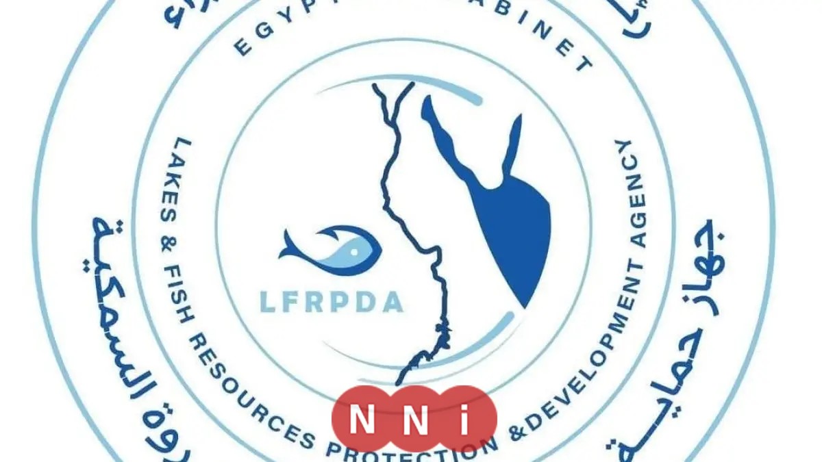 بحيرة قارون تستعيد عافيتها مع إطلاق الدفعة الخامسة من يرقات الجمبري