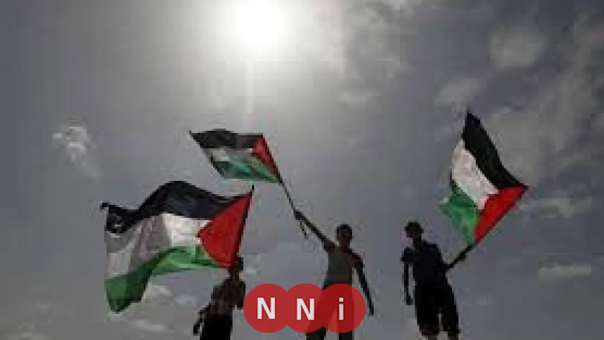 مركز المعلومات بمجلس الوزراء يطلق نشره خاصة حول توجهات الرأي العام العالمي تجاه القضية الفلسطينية