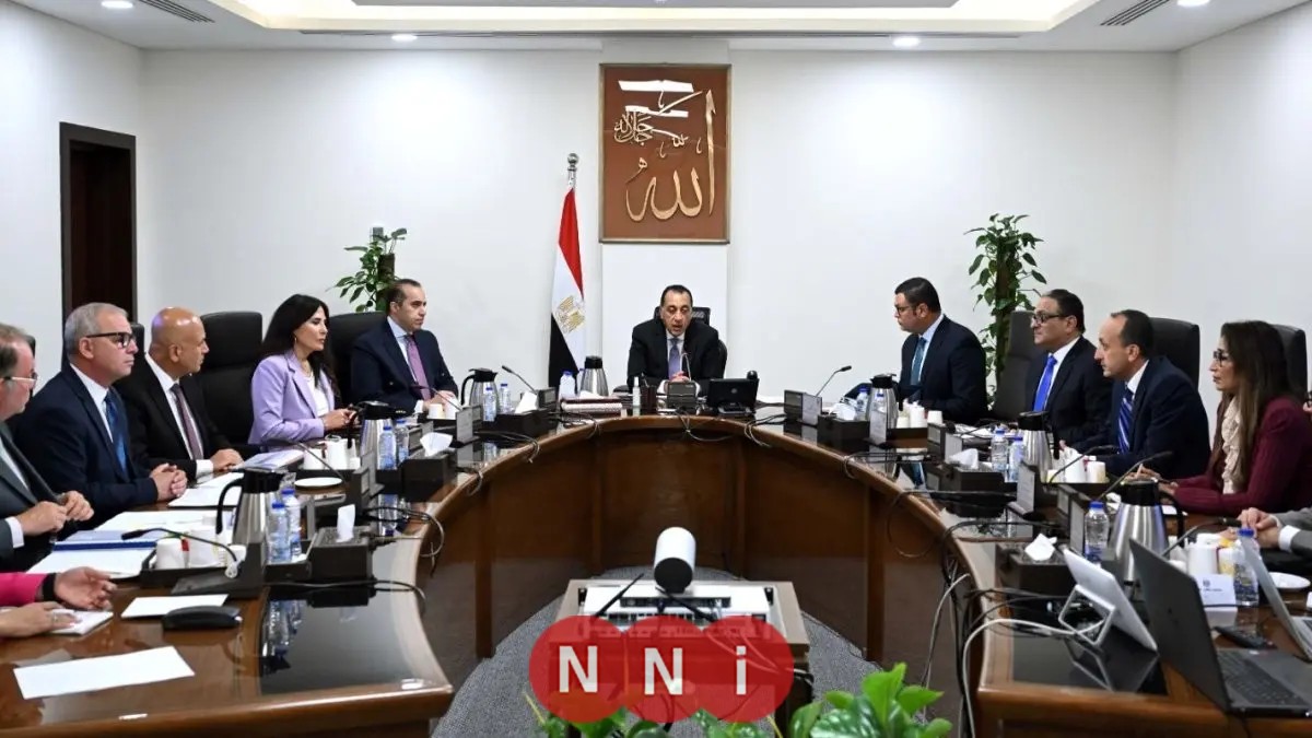 مدبولي يسلط الضوء على طرق تنفيذ مشاريع الكهرباء في المدن الجديدة بالشراكة مع القطاع الخاص