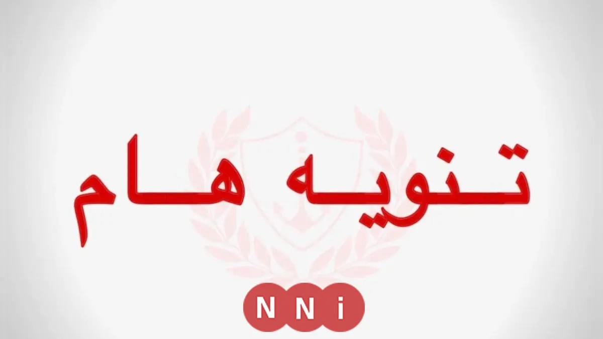 الحكومة تصدر قرارًا حاسمًا بشأن العجول في شوارع بورسعيد: المصادرة أو الإزالة
