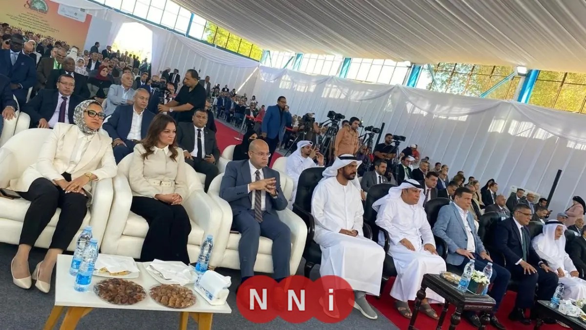 وزير الصناعة يكشف عن مشروع إنشاء أكبر مزرعة نخيل عالمية بسعة 2.3 مليون نخلة في توشكى والعوينات