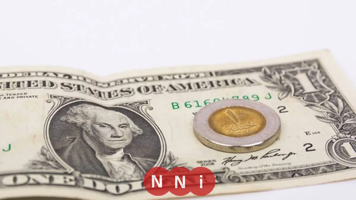 الدولار يواصل هبوطه أمام الجنيه المصري في 2025 رحلة استمرار تراجع العملة الأمريكية