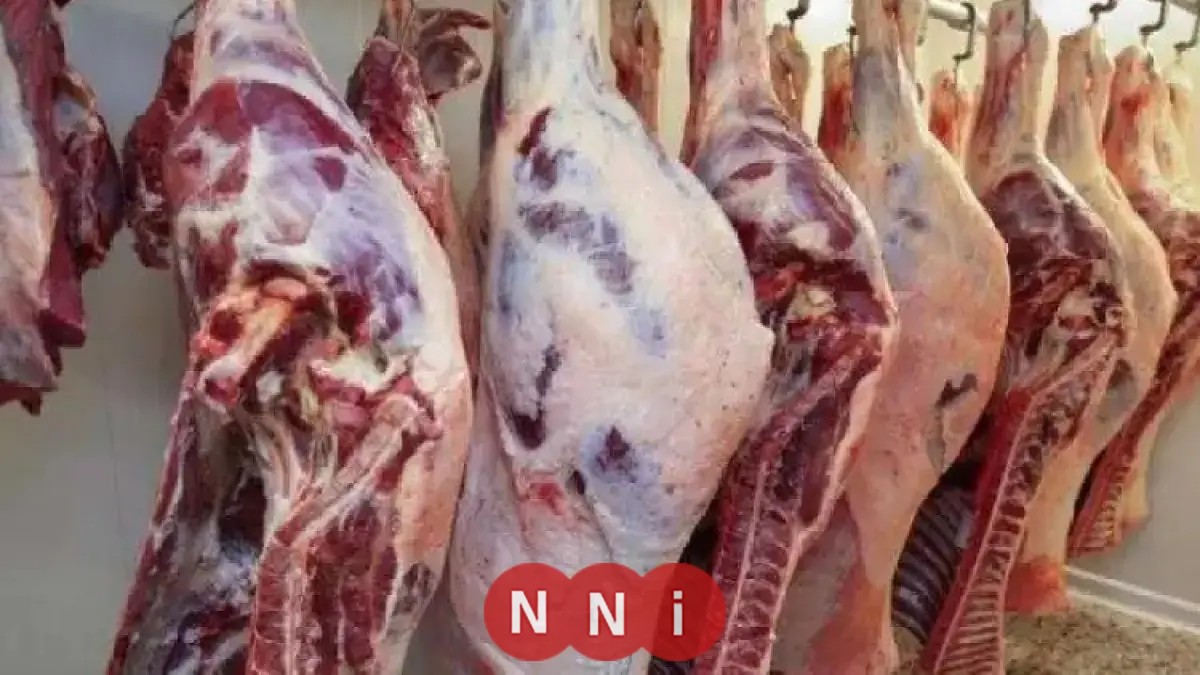 تحديث أسعار اللحوم الحمراء اليوم السبت 3 يناير 2025 في الأسواق المحلية