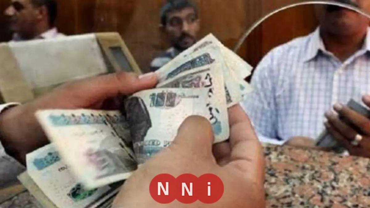 كيفية التقديم على معاش تكافل وكرامة 2026: الشروط والخطوات اللازمة