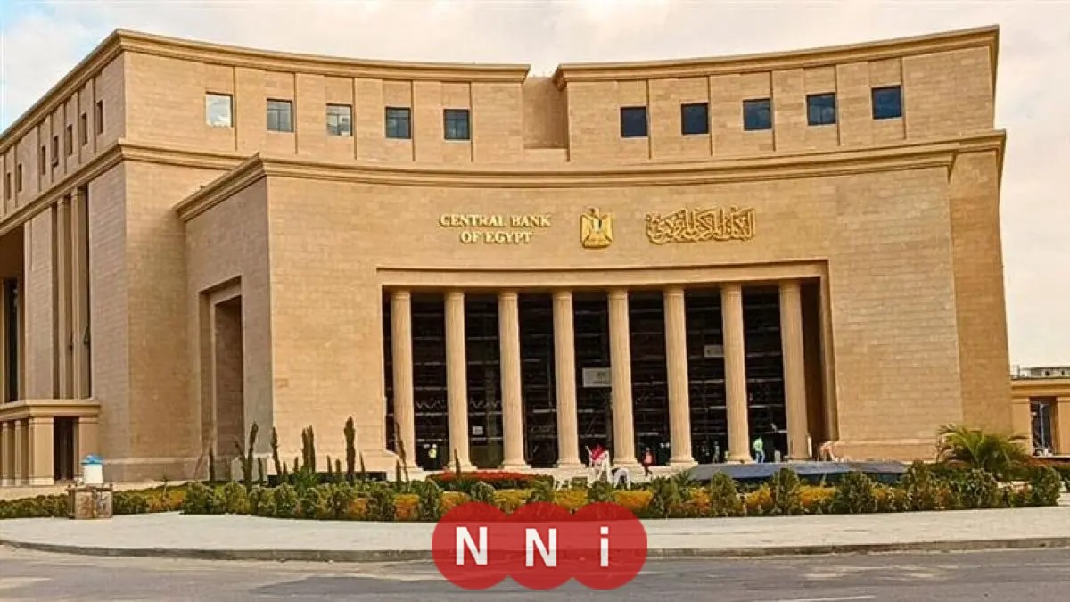 ارتفاع صافي الاحتياطيات الدولية للبنك المركزي بمقدار 4.4 مليار دولار خلال عام 2025