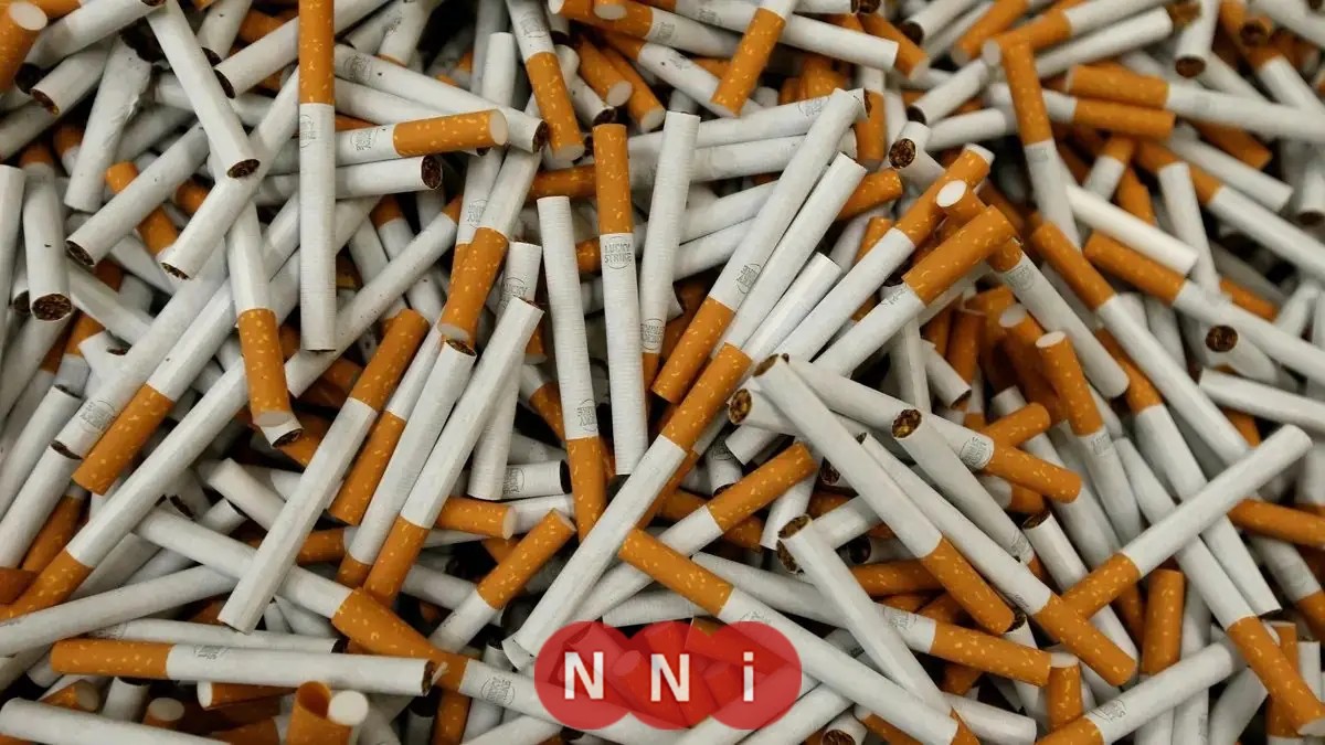 تعرف على أسعار السجائر اليوم السبت 10 يناير 2026 في الأسواق العربية