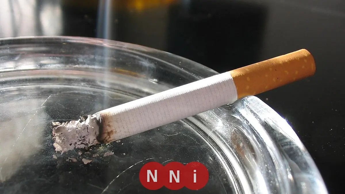 تعرف على أحدث أسعار السجائر لعام 2026 في مصر المحلية والمستوردة