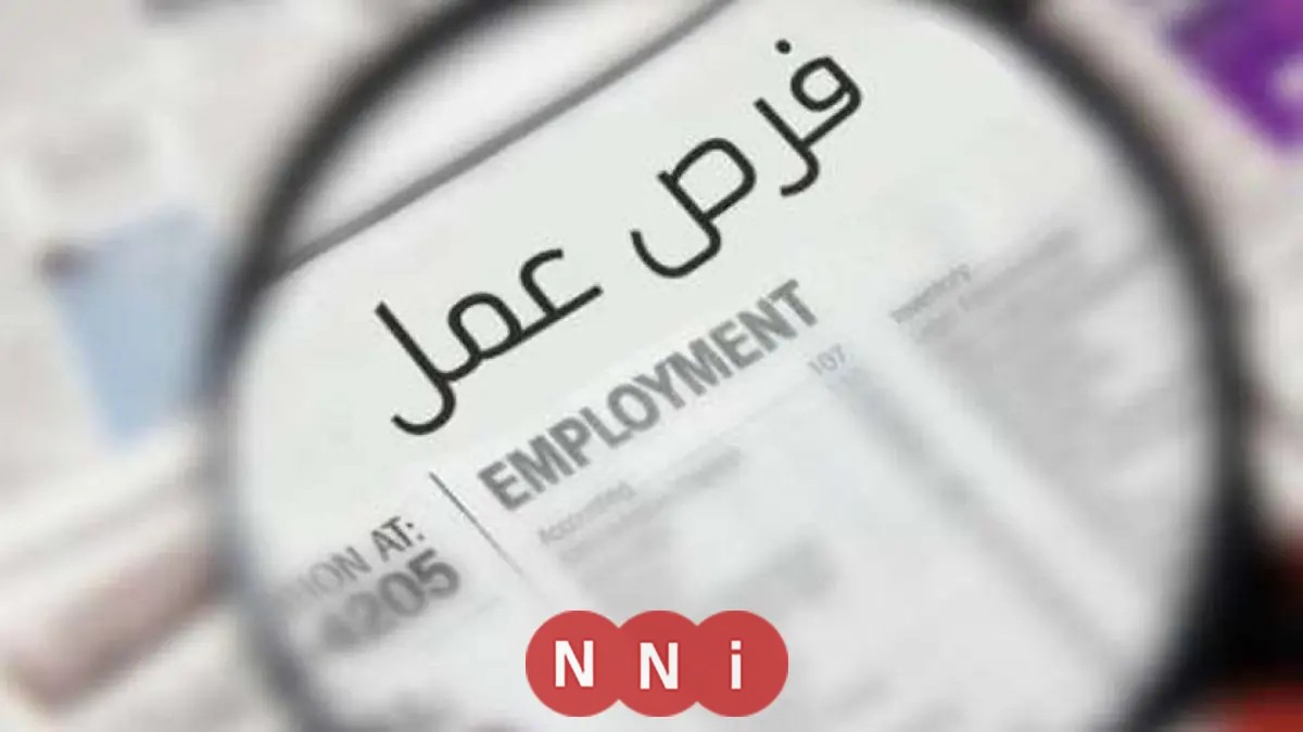 كيفية التقديم على وظائف بشركة استيراد وتصدير: الشروط والخطوات التفصيلية