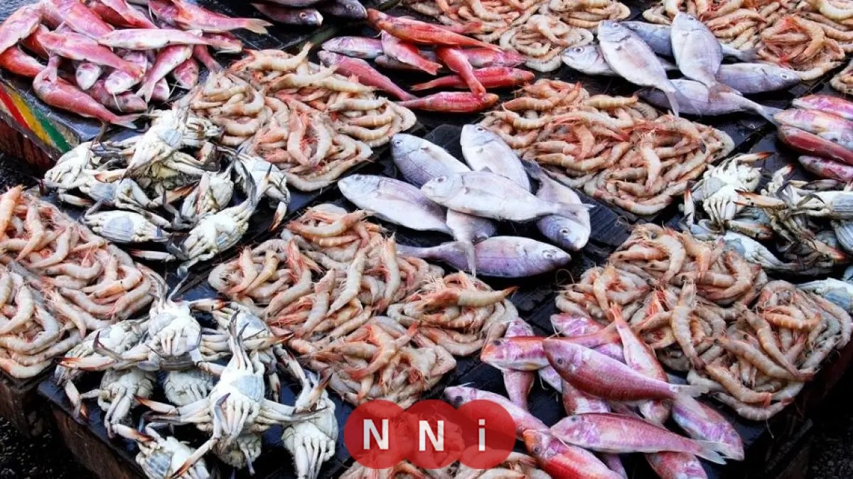 تعرّف على أسعار الأسماك والجمبري في مصر اليوم الخميس 15 يناير 2026