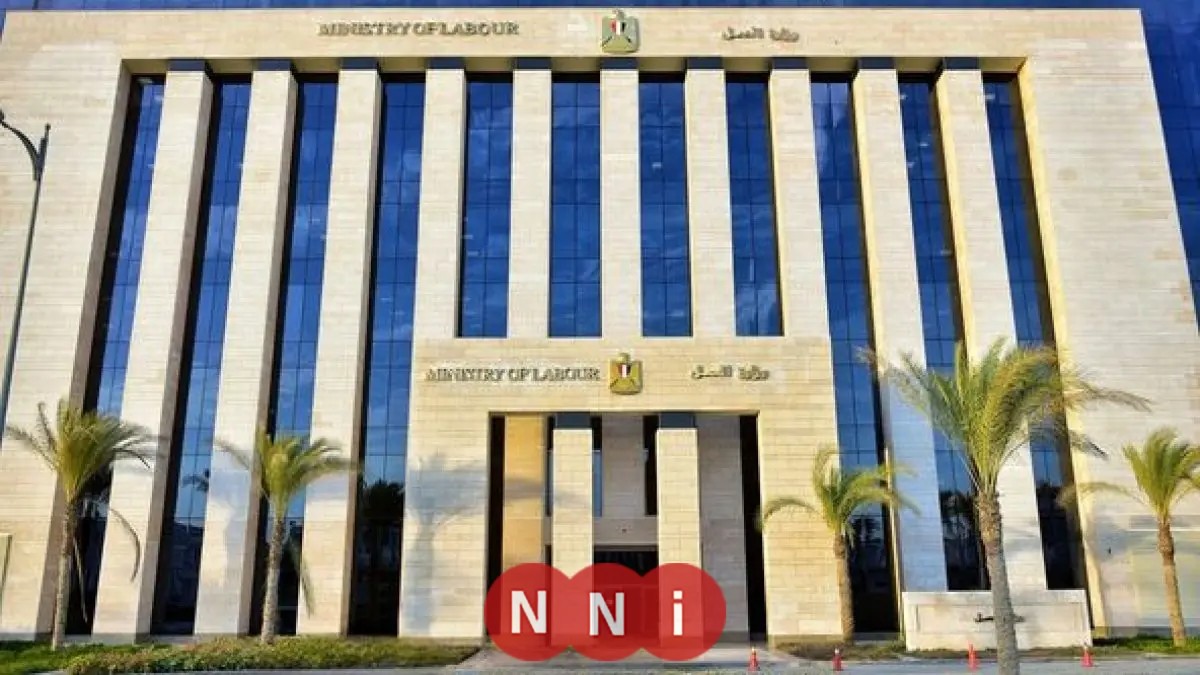 تحرير 250 محضر مخالفة للحد الأدنى للأجور في 6 أيام فقط اكتشف التفاصيل الكاملة