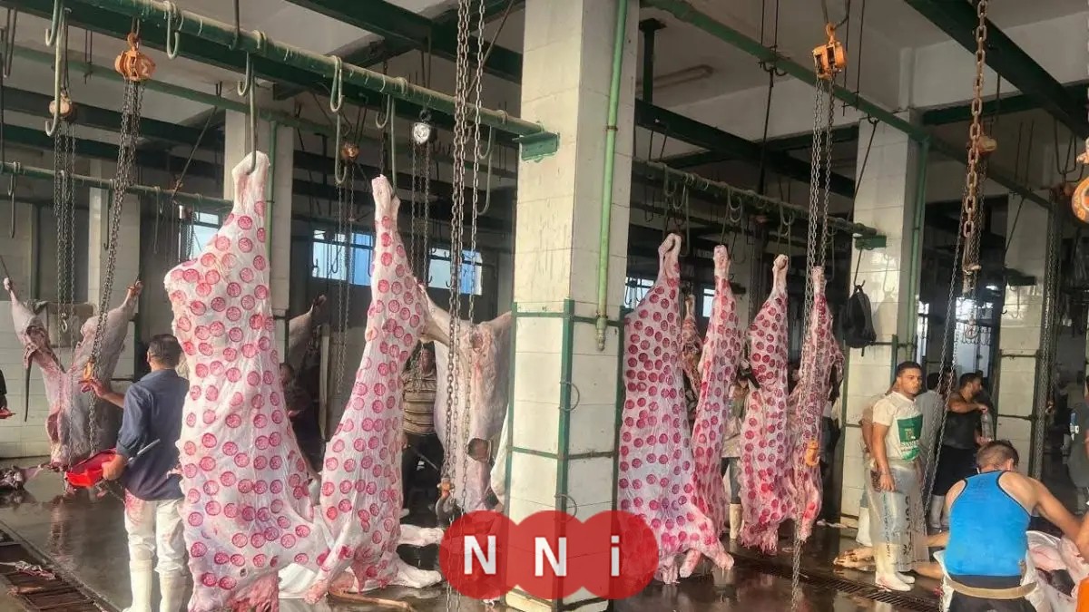 الزراعة: استقبال 705 ألف رأس ماشية في المجازر الحكومية بالنصف الثاني من 2025
