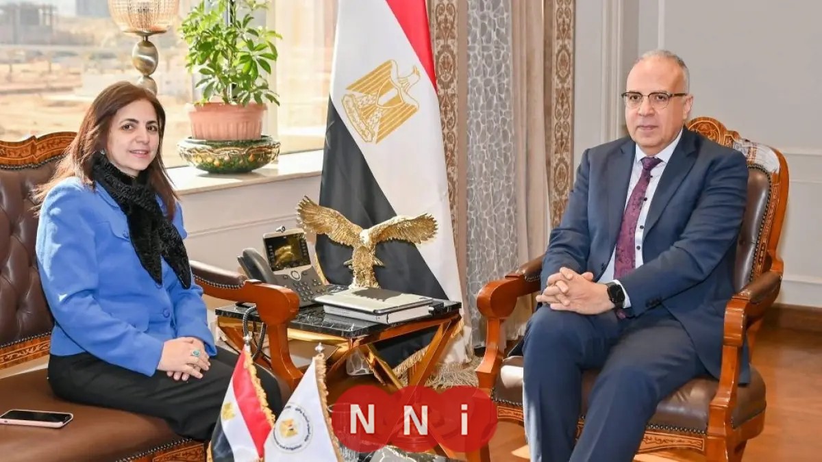 تعزيز التعاون مع دول حوض النيل على طاولة وزير الري والخارجية