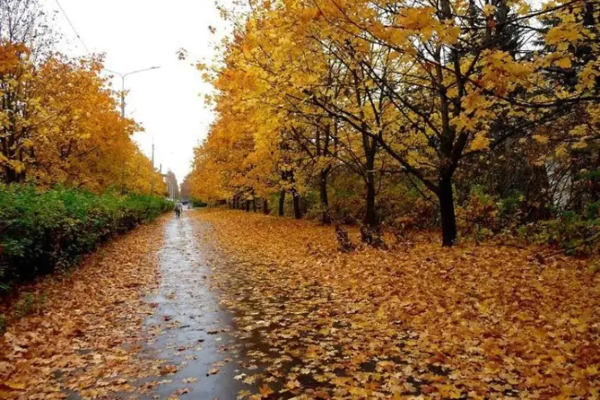 موعد بداية فصل الخريف رسميا.. الصيف بيودع