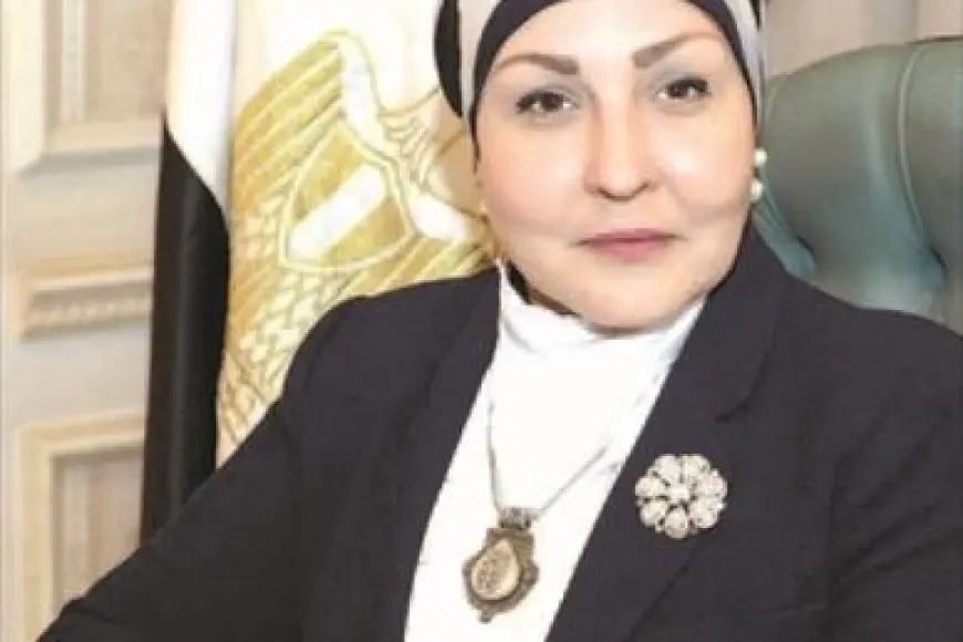 النائبة هالة أبو السعد تطالب بضرورة التكاتف الوطني لمواجهة التحديات الراهنة