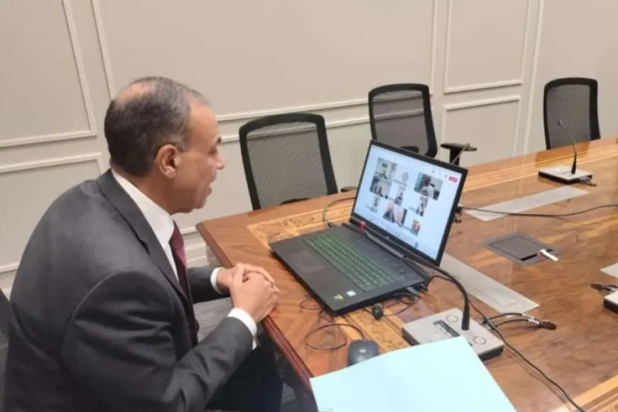 عبد العاطي يعقد لقاء افتراضياً مع أعضاء الجالية المصرية في السعودية