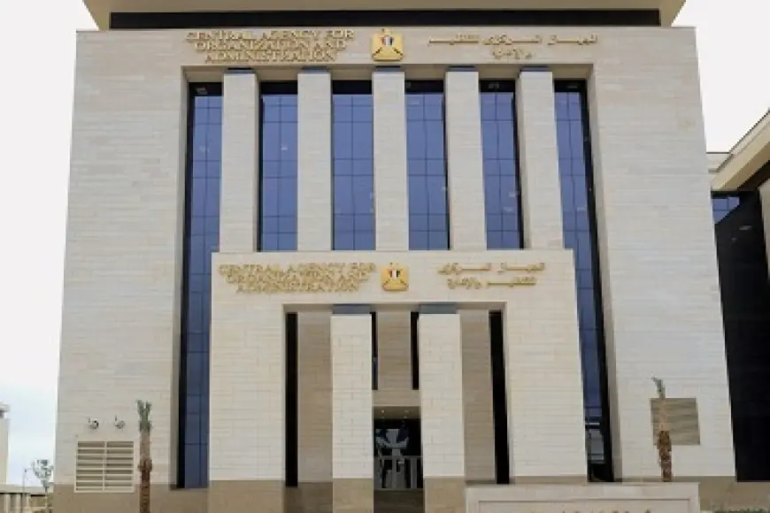 التنظيم والإدارة يعلن إتاحة الاستعلام عن نتيجة المقابلة الشفوية للمتقدمين في 3 مسابقات لشغل وظائف بوزارة النقل