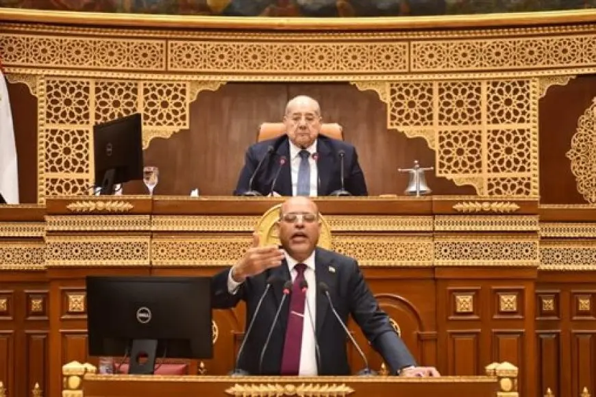 وزير العمل أمام مجلس الشيوخ: إغلاق 14 شركة وهمية لتشغيل العمالة بالخارج