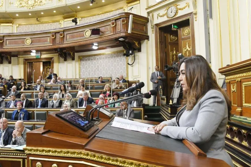 وزيرة التنمية المحلية: إزالة 6500 حالة تعد على الأراضى الزراعية بمساحة 271 فدانا