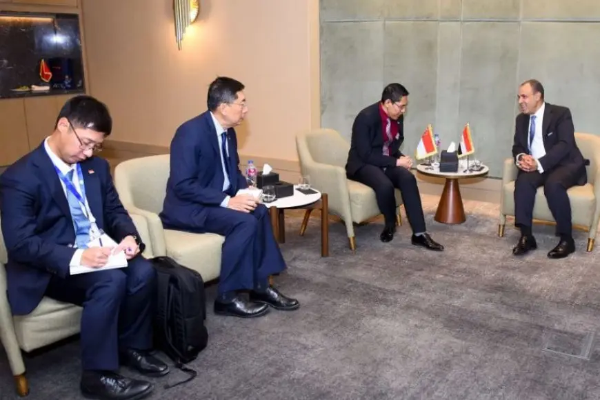 وزير الخارجية: سنغافورة ضمن أكبر الدول الآسيوية التي يوجد لديها استثمارات في مصر