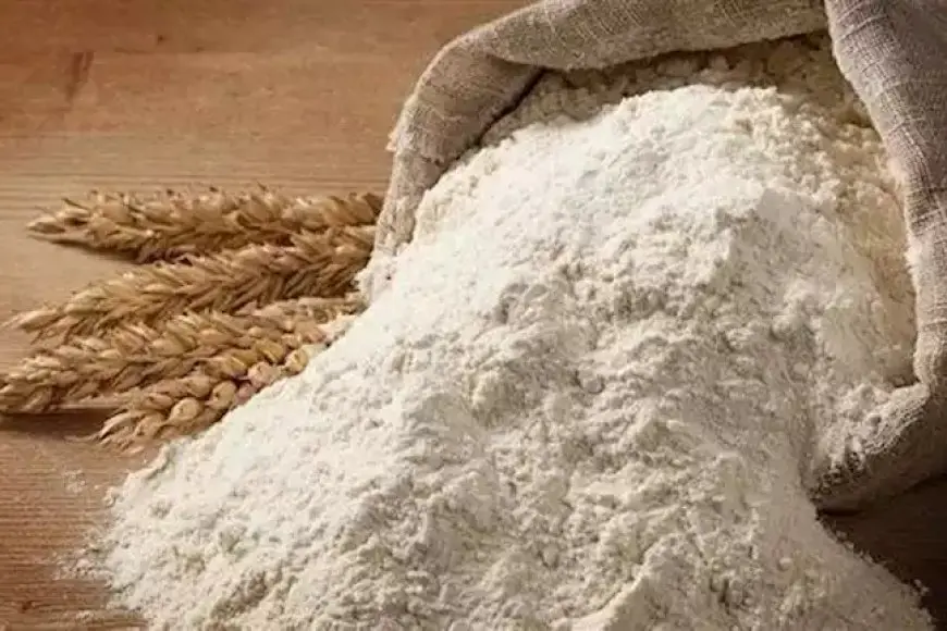 أسعار الأرز الشعير اليوم الأربعاء 25 ديسمبر 2024 سعر طن الارز في مصر واخر اسعار السلع الغذائية