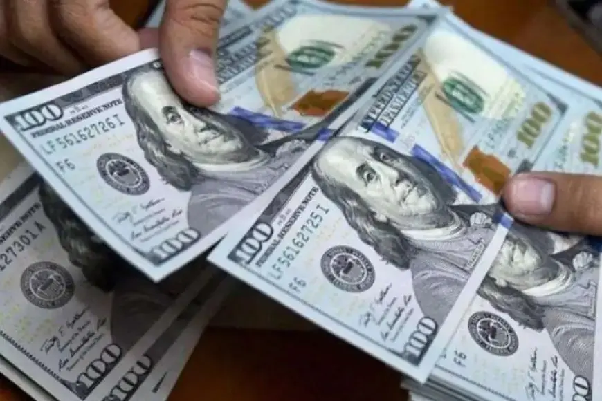 الأمريكي.. سعر الدولار اليوم في السوق السوداء والبنوك مقابل الجنيه المصري الأربعاء 25 ديسمبر 2024