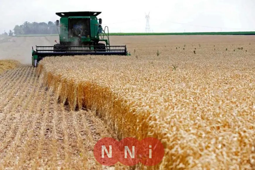 وزير الزراعة يعلن عن انتهاء حصاد 3.1 مليون فدان وتوريد أكثر من 3.2 مليون طن