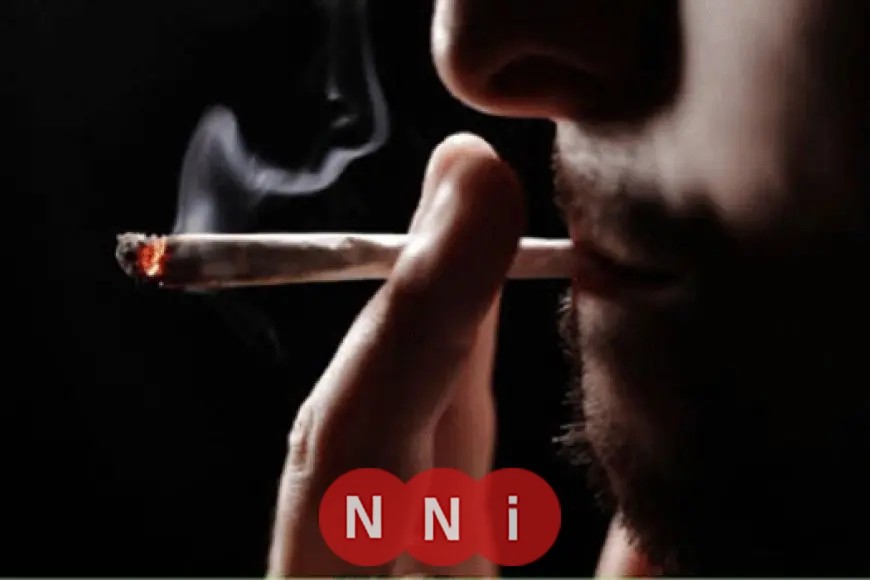 مجمع البحوث الإسلامية يرد على تصريحات سعاد صالح بشأن الحشيش: محرم شرعًا