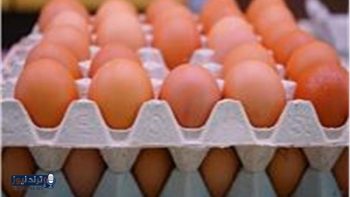 تحديث أسعار البيض في الأسواق اليوم السبت 7 مارس