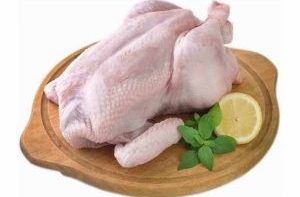 أسعار الفراخ البيضاء اليوم السبت 7 مارس 2026 في مصر وتحليل لتوقعات بورصة الدواجن