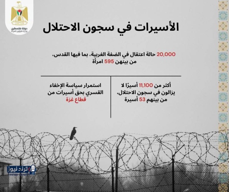 595 فلسطينية.. تقرير يوثق الانتهاكات ضد الأسيرات في سجون الاحتلال