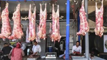 أسعار اللحوم في الأسواق المصرية تتجاوز 500 جنيه اليوم الثلاثاء 24 مارس 2026