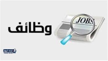 فرص عمل جديدة في اقتصادية العين السخنة برواتب تصل إلى 8300 جنيه