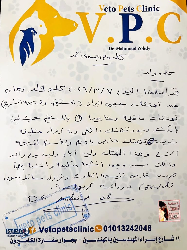 عرض الحيوان للتحقيق.. تقرير طبي يفجر مفاجأة في حادث كلب السويس .. خاص