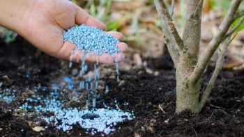 « تعرف على أسعار الأسمدة اليوم الثلاثاء 24 مارس 2026… طن السلفات يصل إلى 23 ألف جنيه في الأسواق »