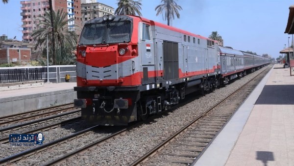 إخلاء سبيل المتهم بدهس طبيية وأسرتها في المنوفية