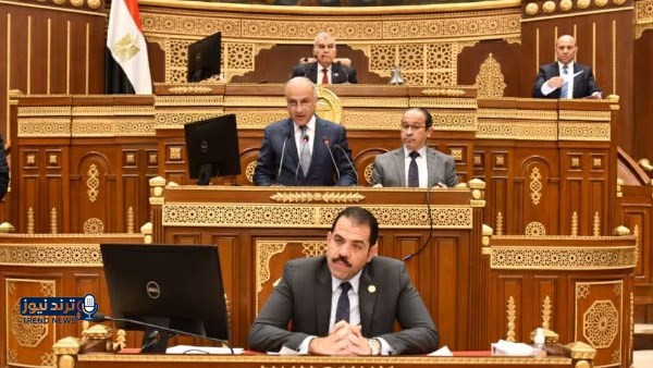التعليم العالي: ارتفاع نسبة الطالبات وأعضاء هيئة التدريس الإناث بالجامعات