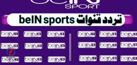 تردد قناة beIN Sports 1 HD لمتابعة نهائي قمة أرسنال ومان سيتي بقيادة هالند - وكالة البوصلة الإخبارية