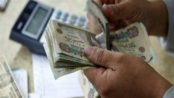 تفاصيل شهادات بنك مصر لعام 2026 العائد الثابت والمتناقص على شهادتي القمة وابن مصر