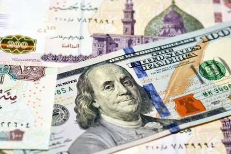 سعر الجنيه المصري اليوم مقابل الدولار يهبط لأدنى مستوى