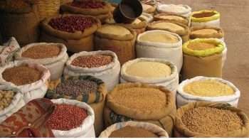 13 مصنع أعلاف تخفض أسعارها في مطلع الأسبوع -جريدة المال