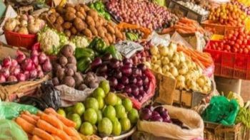 تراجع مفاجئ في الأسواق اليوم.. سعر الطماطم والبصل والبطاطس والخضروات الخميس 30 أبريل 2026 بعد انخفاض ملحوظ في بعض الأصناف