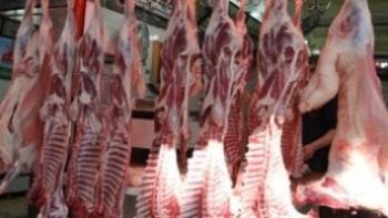 أسعار اللحوم بأسواق مطروح اليوم السبت 25-4-2026.. البلدى بـ400 جنيه