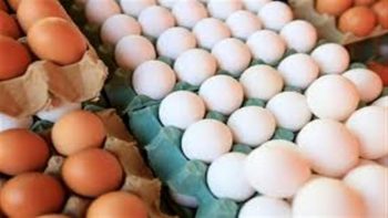 سعر كرتونة البيض في بورصة الدواجن والمحال اليوم الأربعاء 22-4-2026