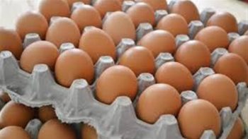 تحديثات جديدة.. سعر كرتونة البيض اليوم للمستهلك الأربعاء