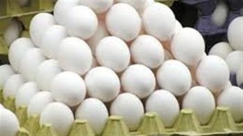 سعر كرتونة البيض اليوم الأربعاء 29 أبريل 2026 وأسعار الفراخ البيضاء والساسو في الأسواق